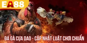 Đá Gà Cựa Dao - Cập Nhật Luật Chơi Và Mẹo Vào Kèo Chuẩn