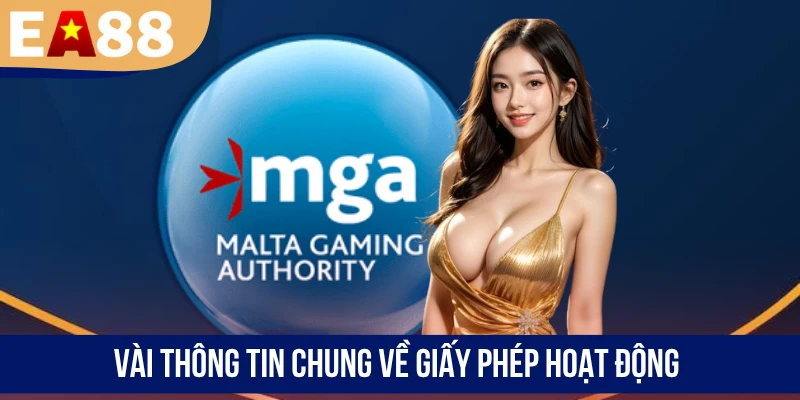 Vài thông tin chung về giấy phép kinh doanh
